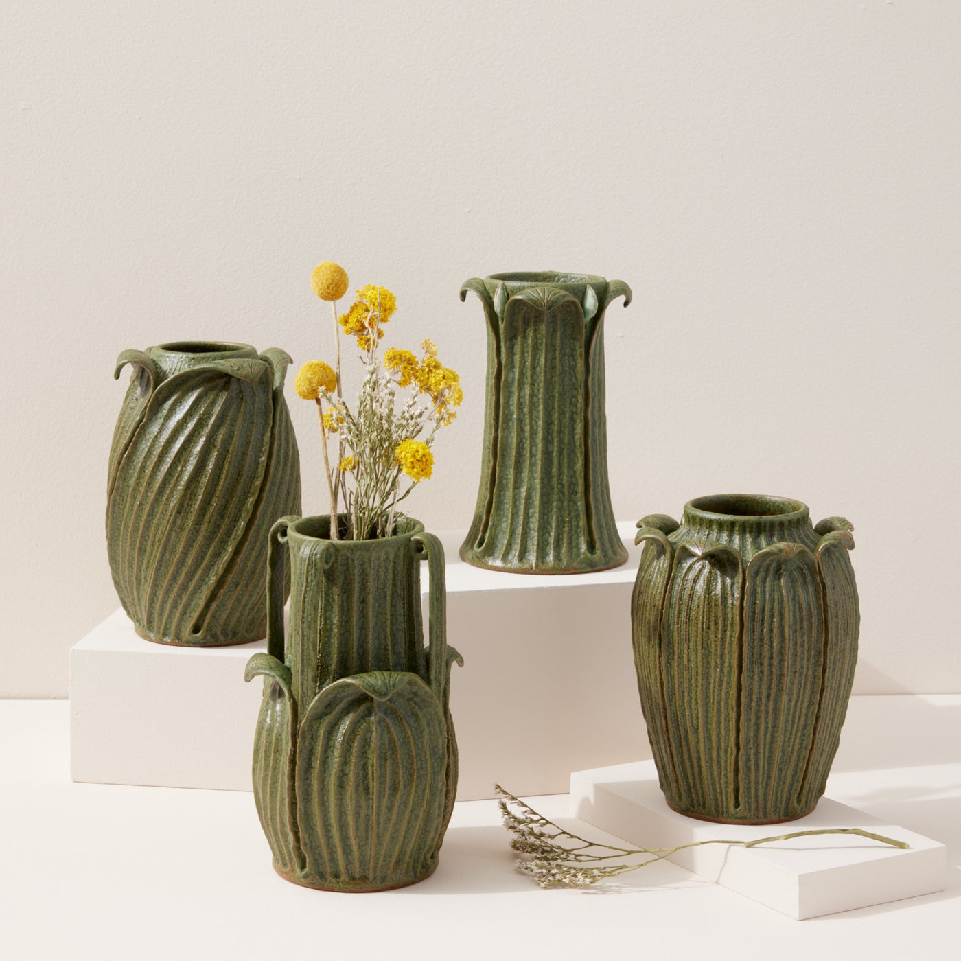 Hosta Leaf Vessel
