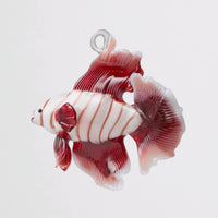 Crimson Striped Koi