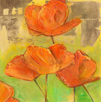 Brilliant California Poppies