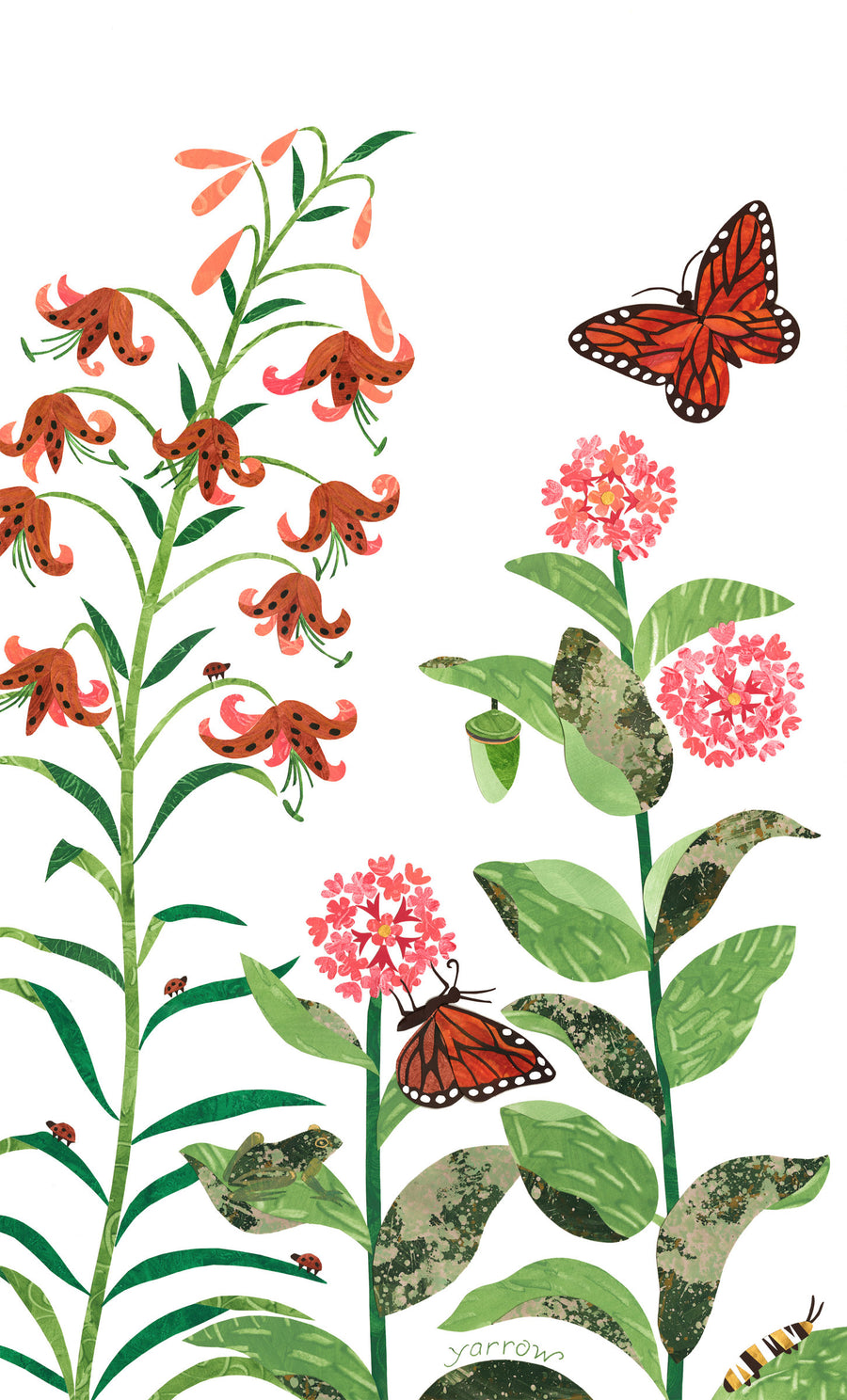 Queen of All Butterflies