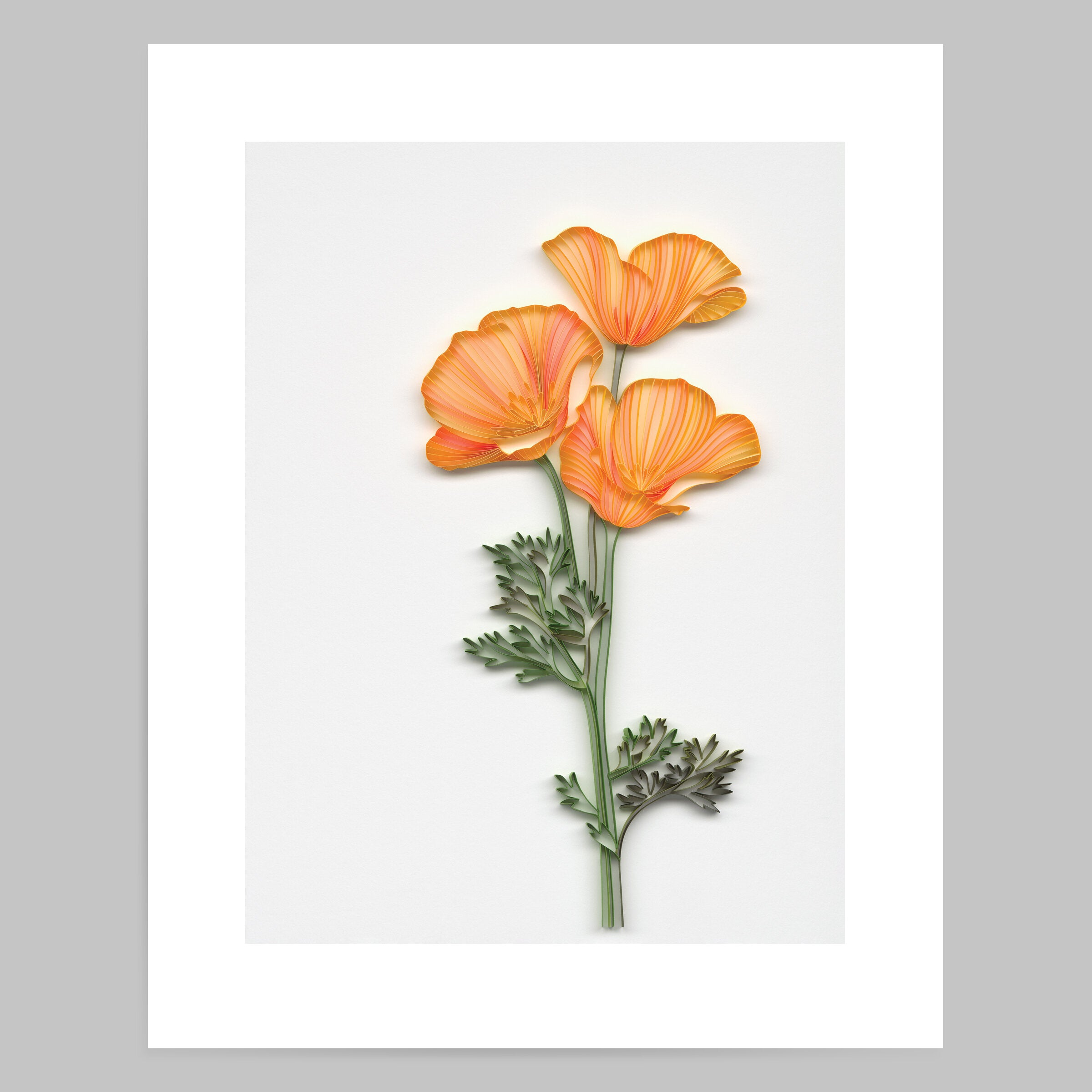 California Poppies