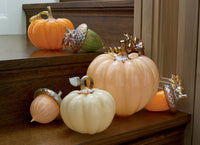 Autumnal Acorns