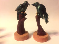 Magpies vs. Crows