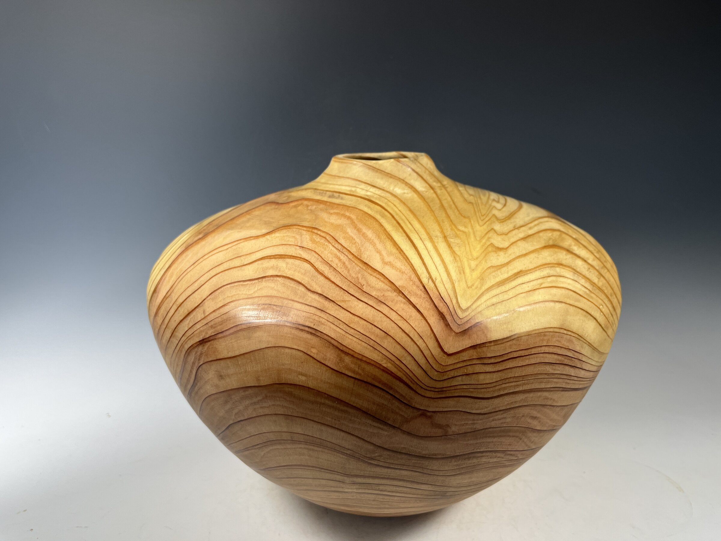 Dawn Redwood Hollow Form Vessel