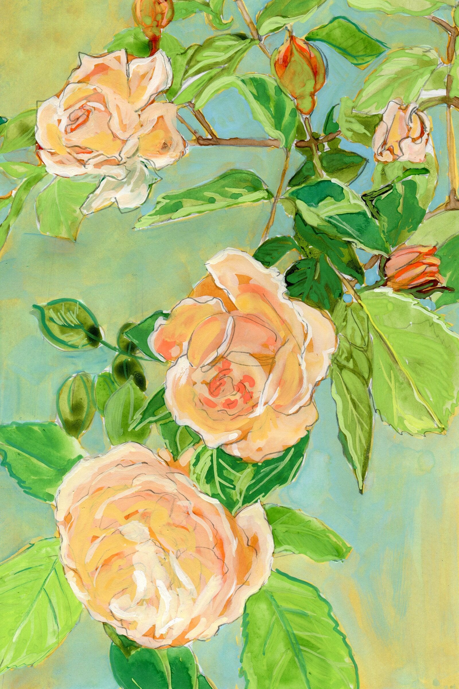 Rose