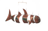 Tropical Reef Fish