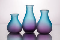 Blue/Purple