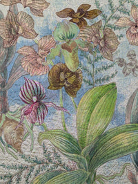 Orchids V