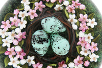 Robin's Eggs in Nest