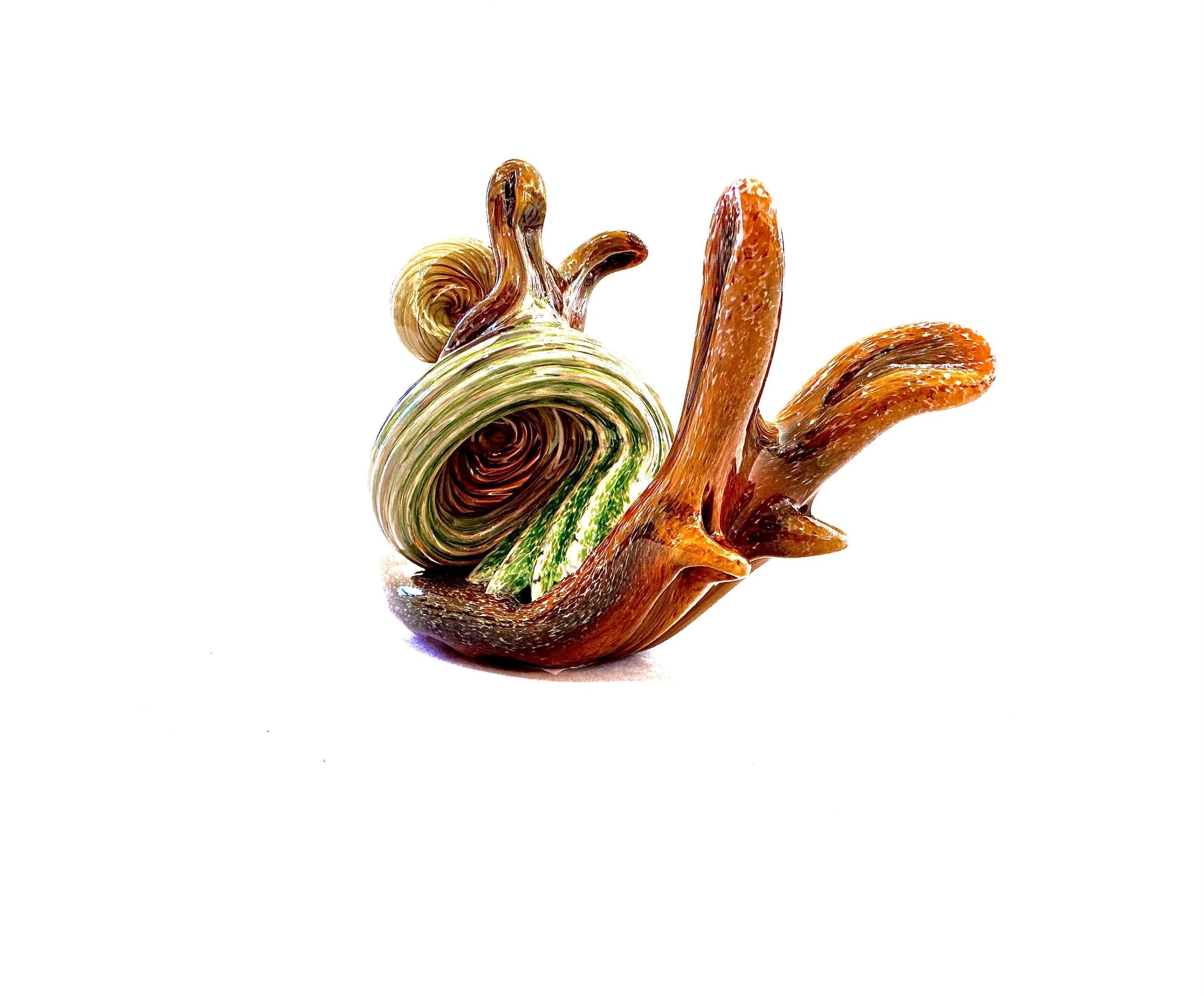 Hitchhiker Snails