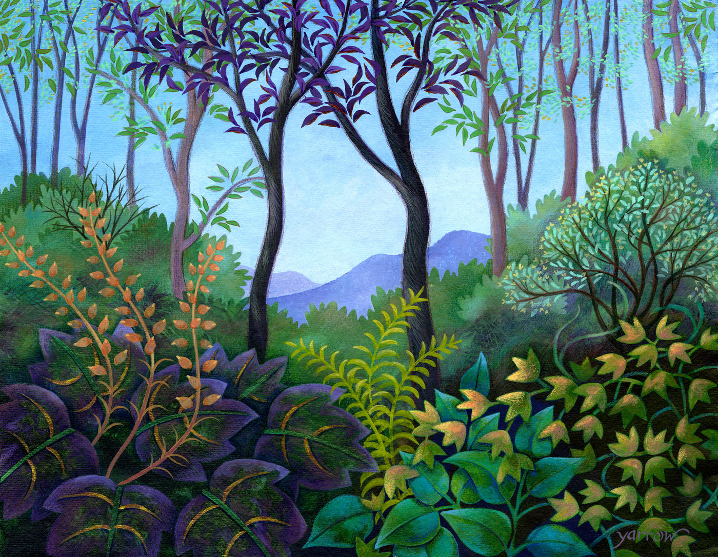 A Glimpse Beyond