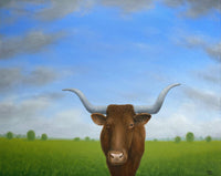 Unyoked Ox Under a Summer Sky