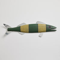 Medium Fish with Fins and Teeth in Green Stripes