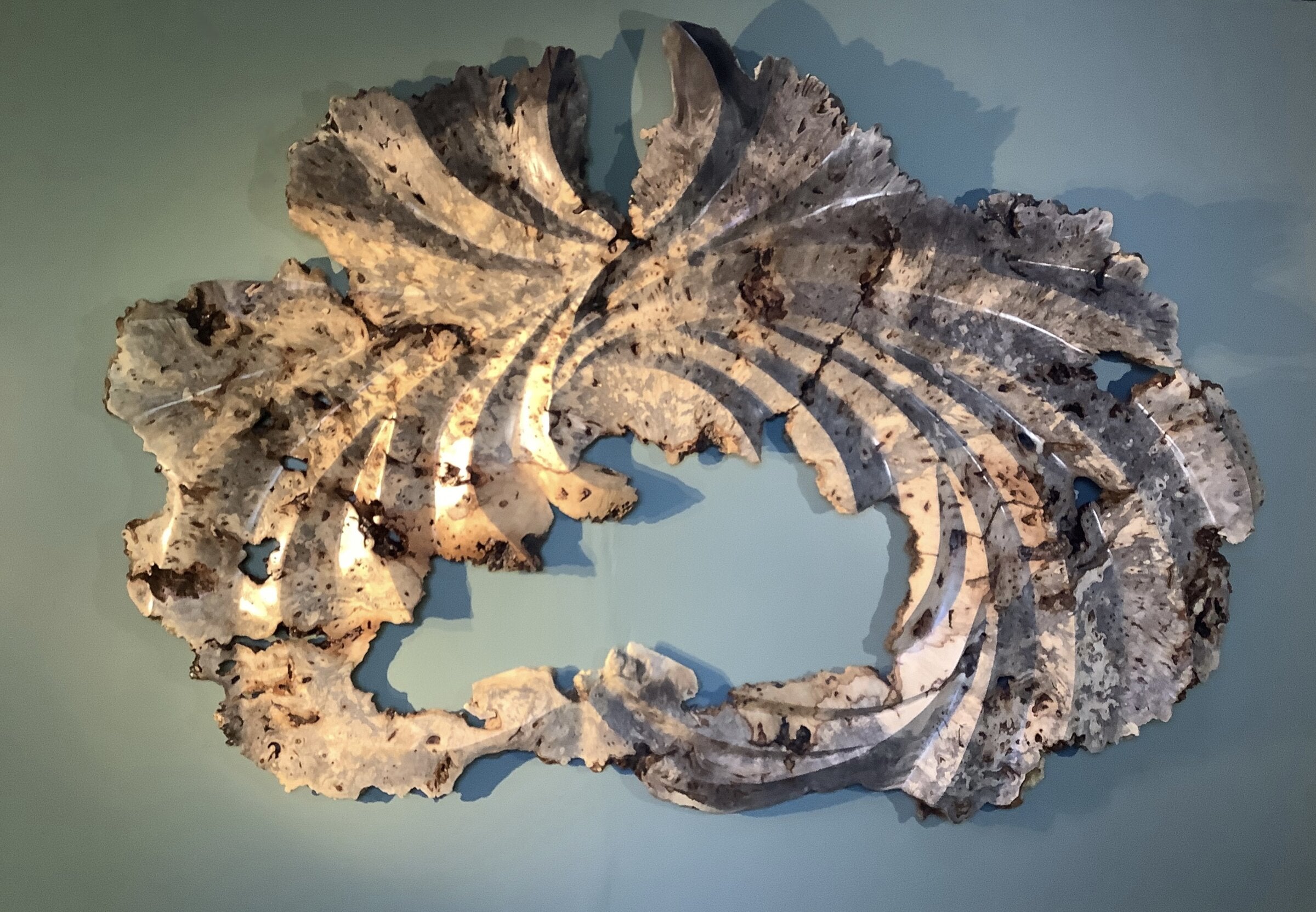 Headdress Buckeye Burl Wall Sculpture
