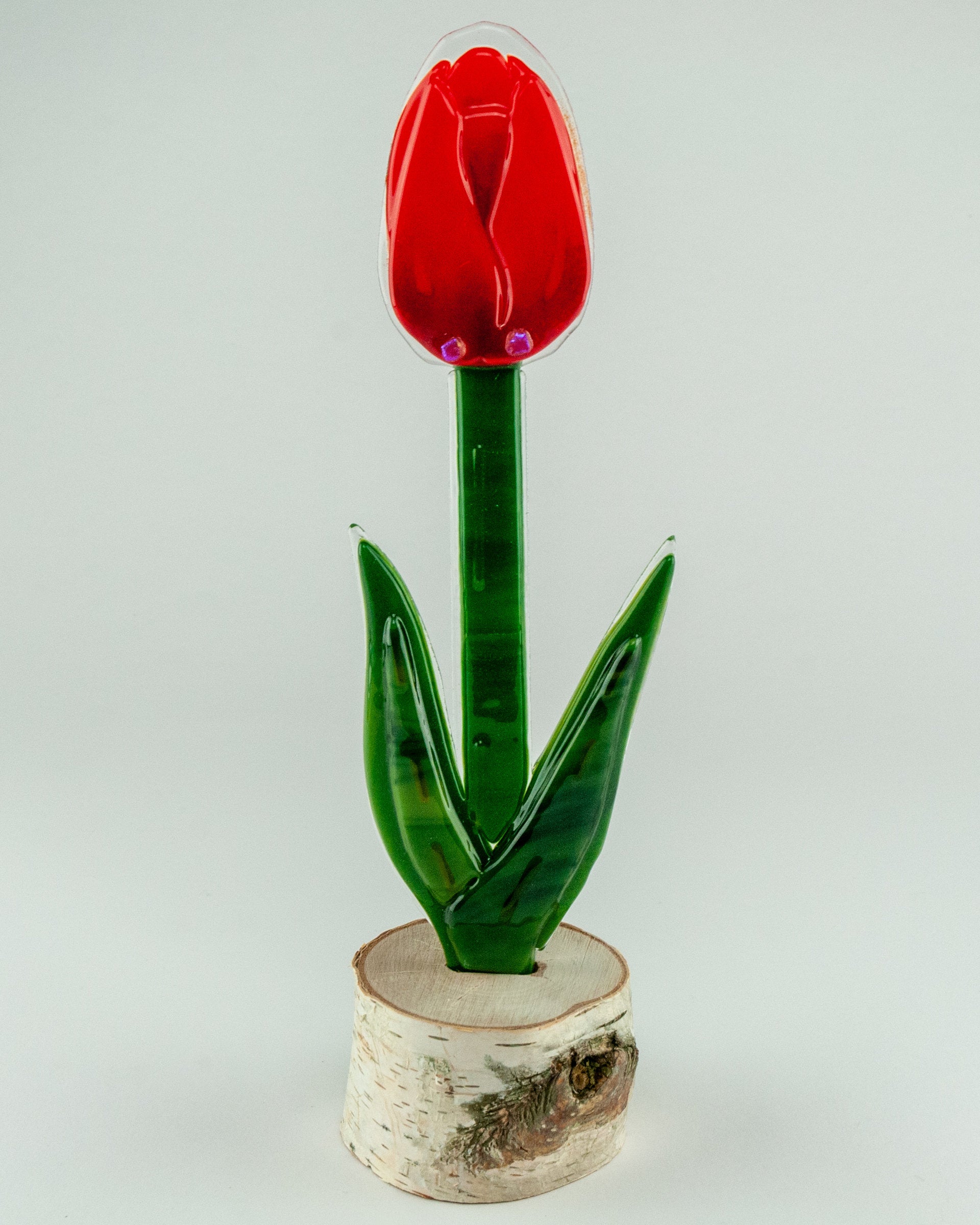 Lipstick Closed Tulip