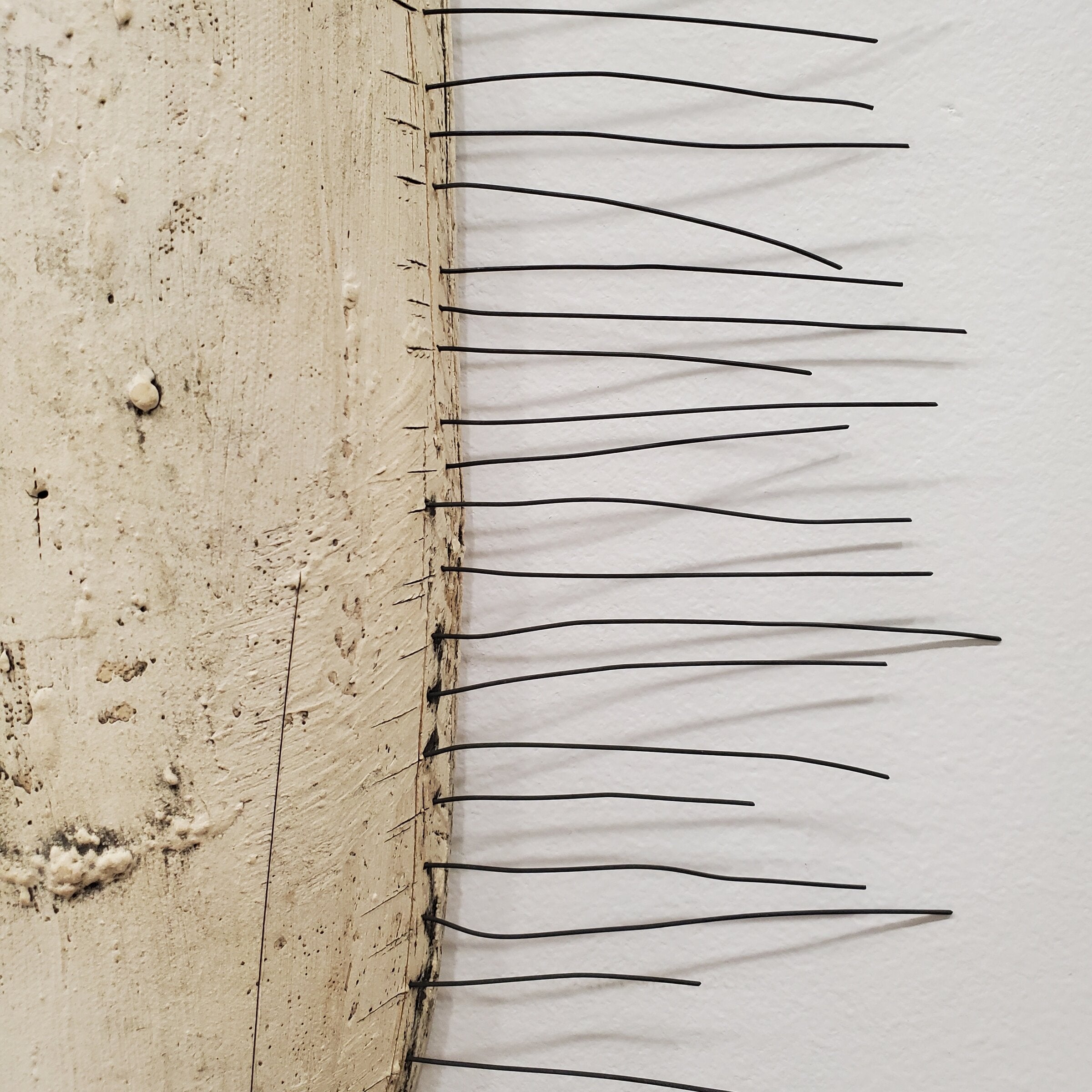 Wiry Pods