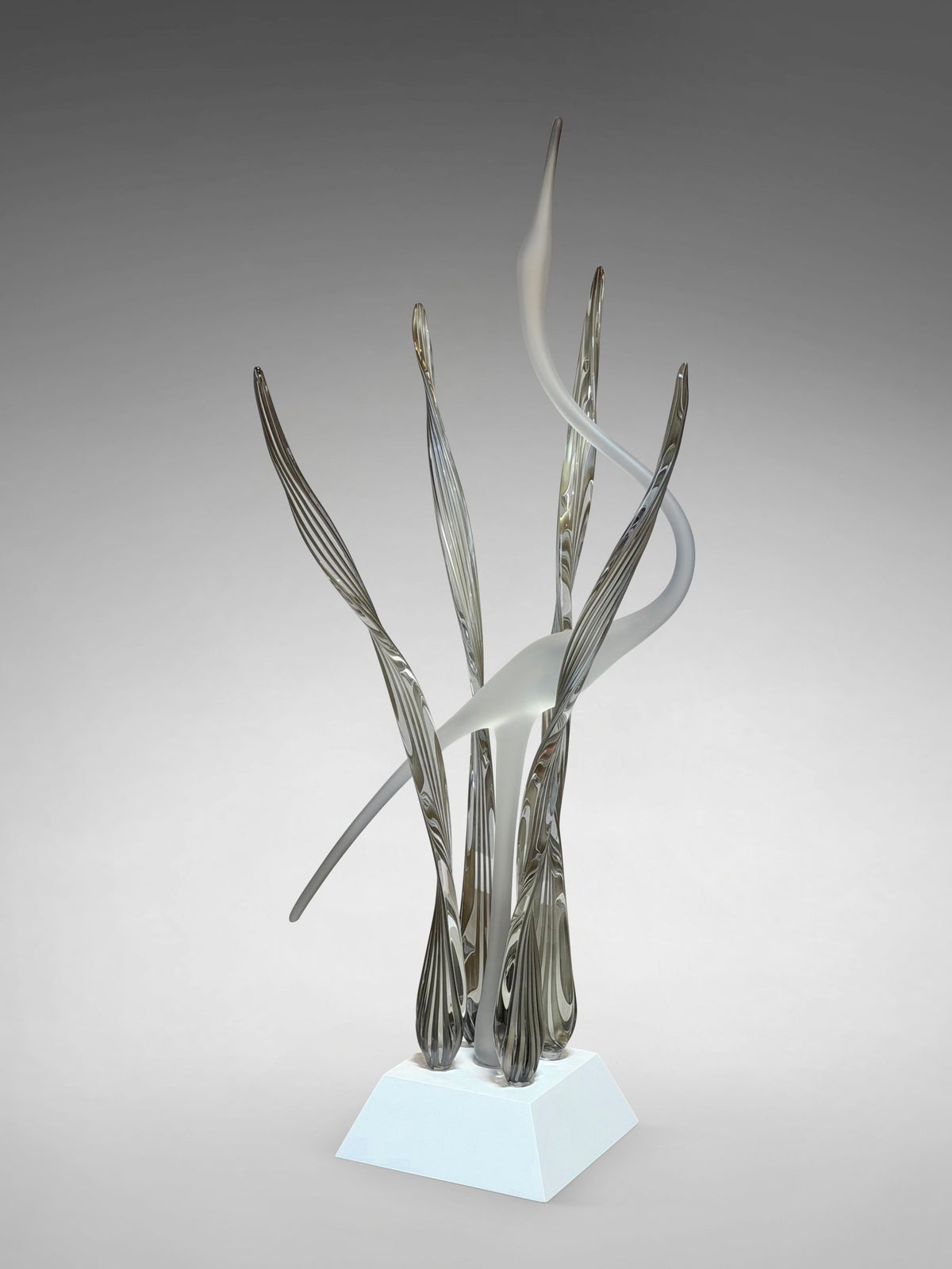 white base