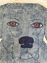 Brown-eyed Big Blue Dog