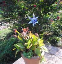 Floral Burst Garden Sculpture