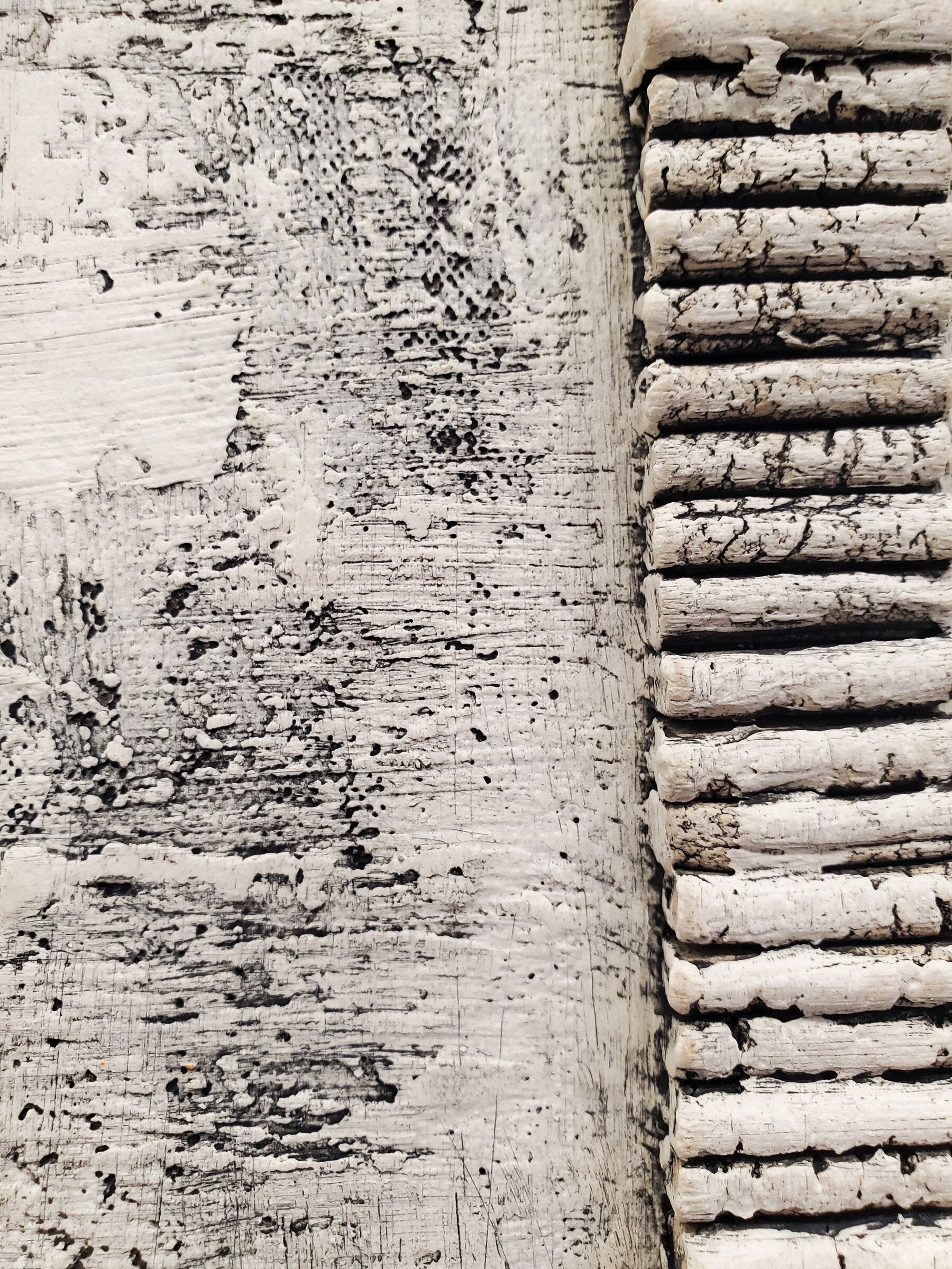 Ridged
