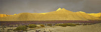 Bentonite Hills
