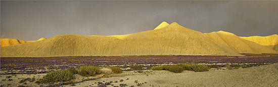 Bentonite Hills