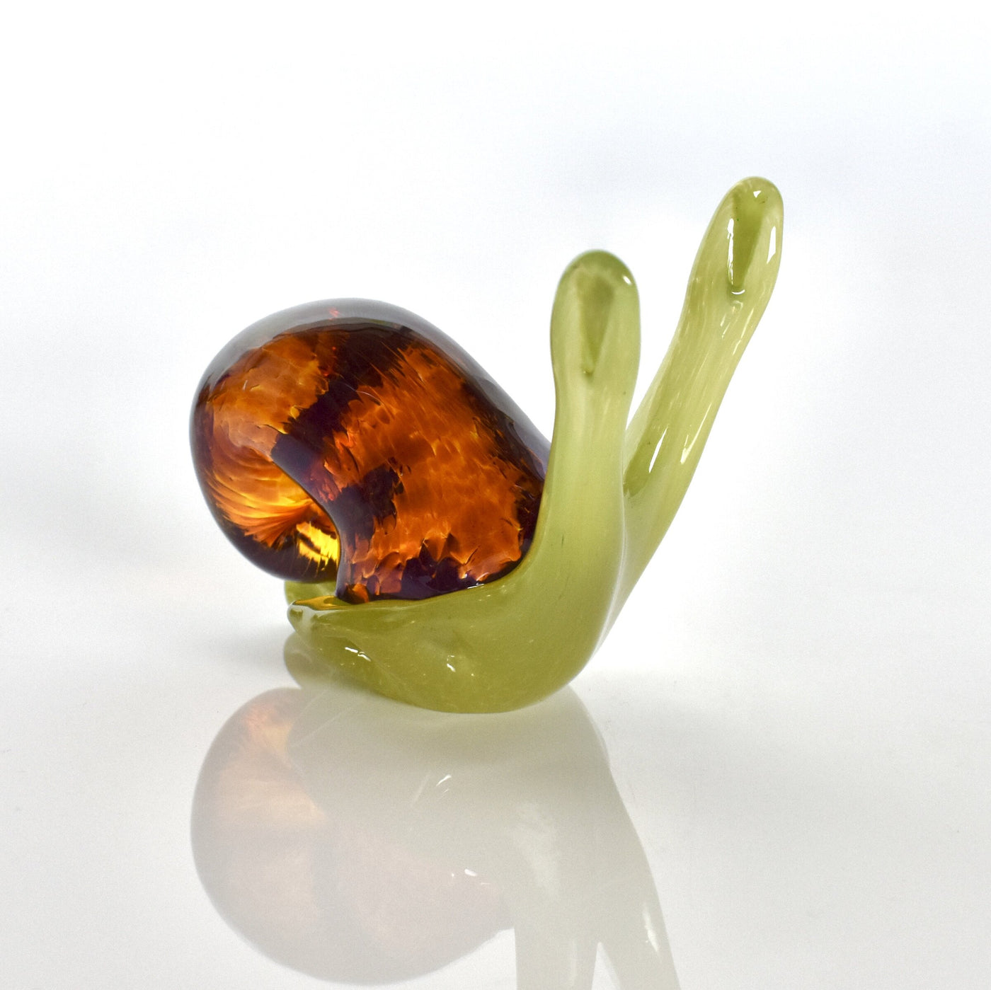 Transparent Shell