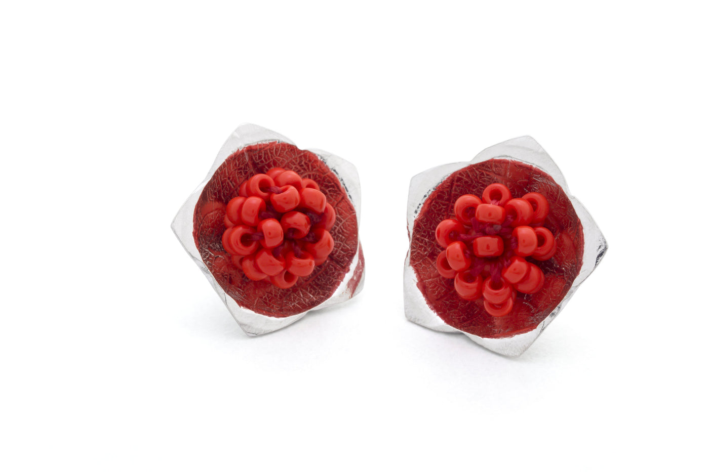 Hoya Studs