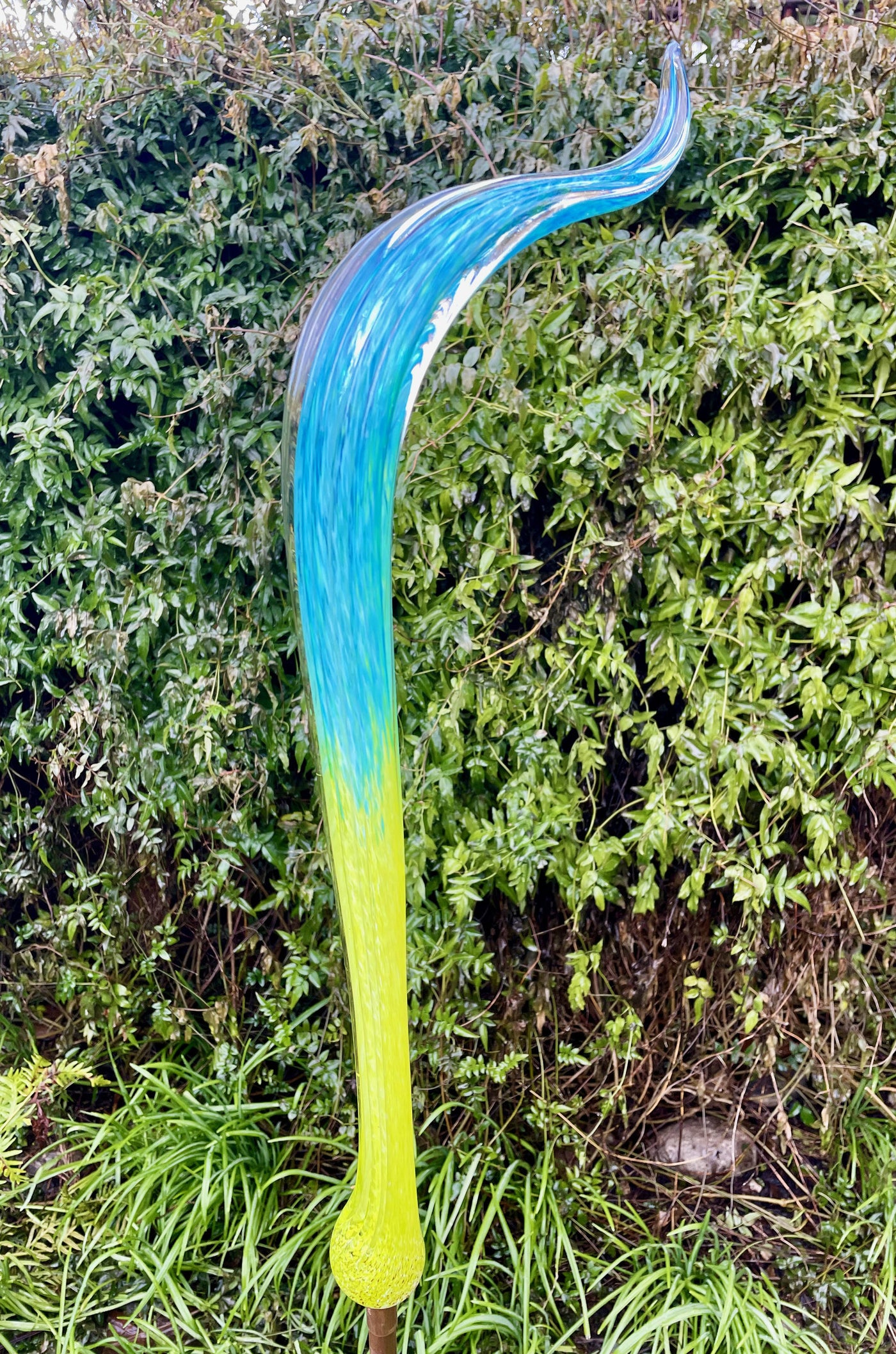 Aqua/Lime