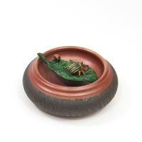 Potato Beetle with Larvae