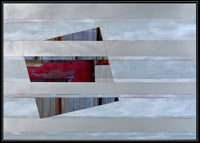 Parallel Vision