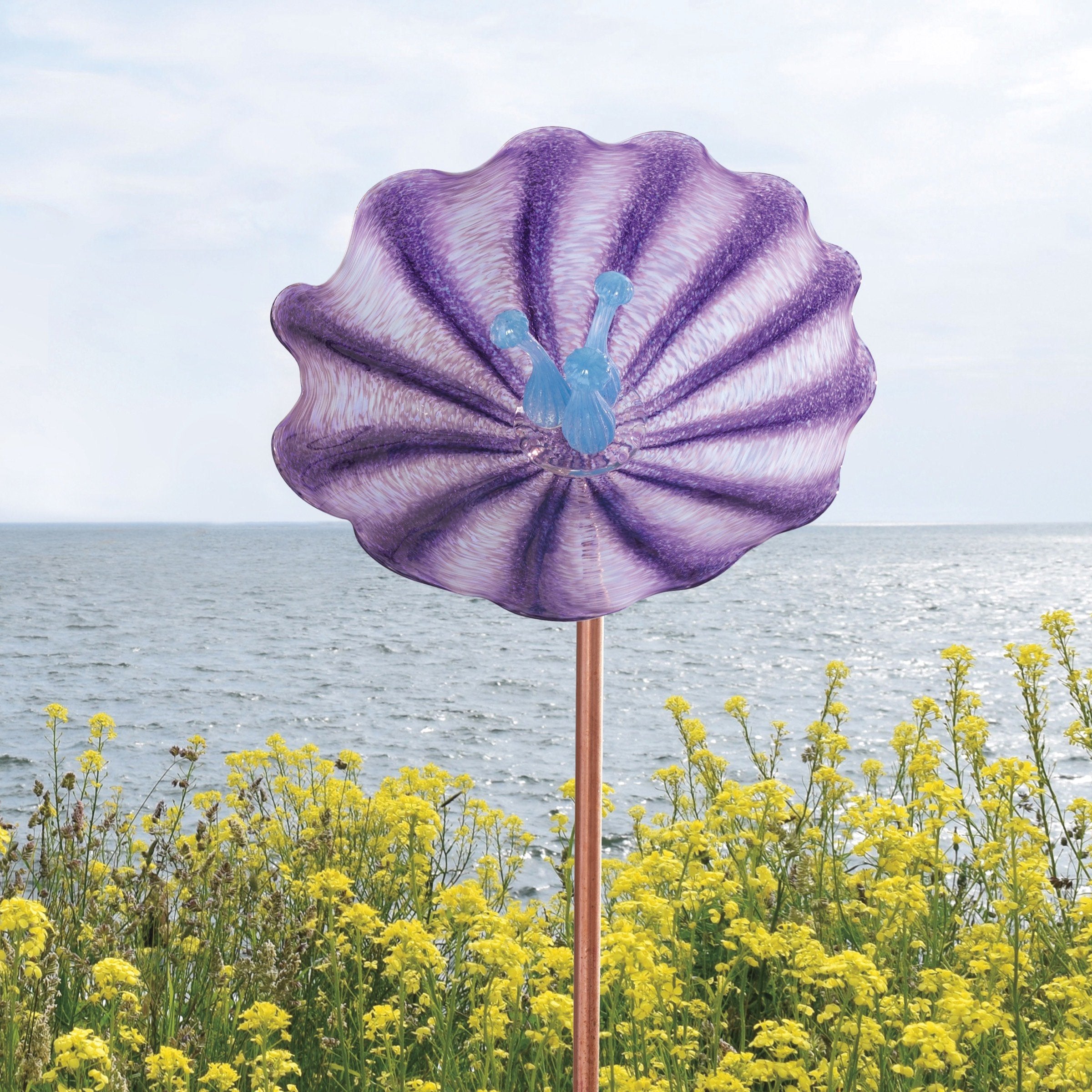 Fluted Hyacinth
