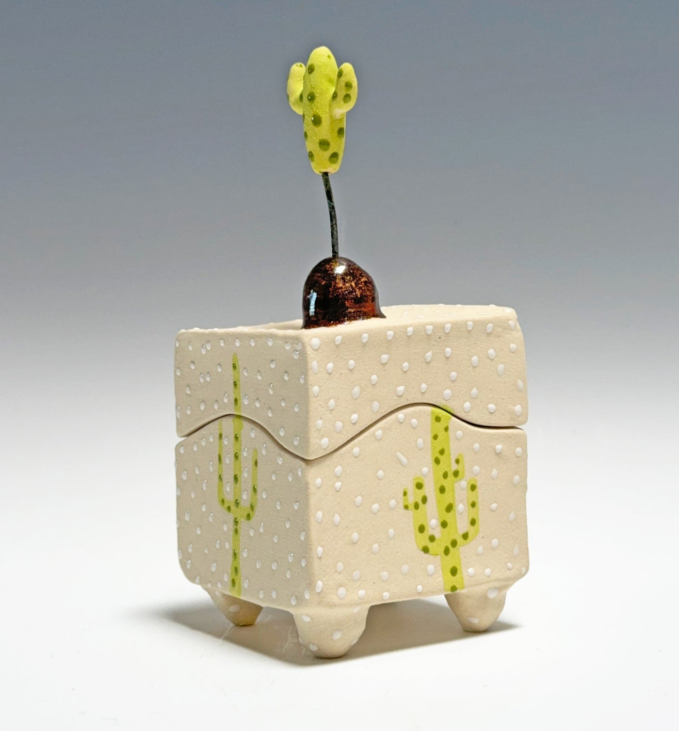 Cactus Box