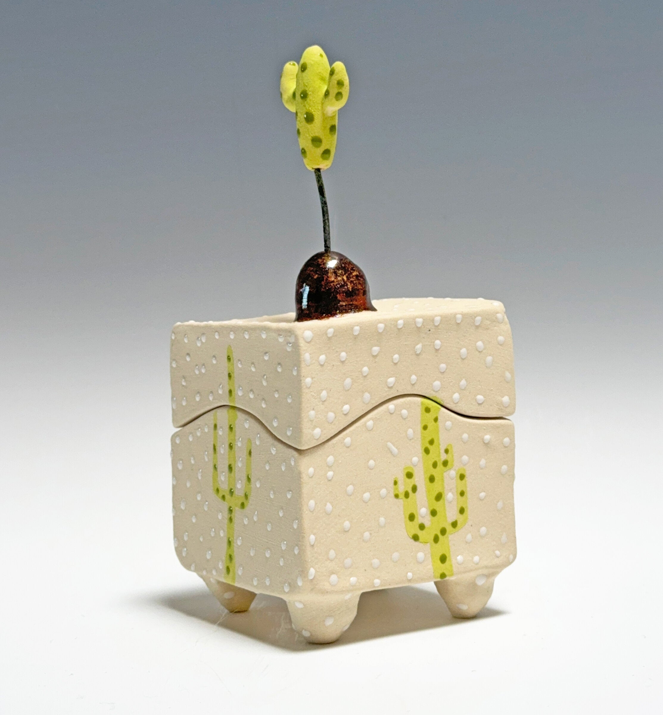 Cactus Box