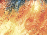 Prairie Fire Restoration I