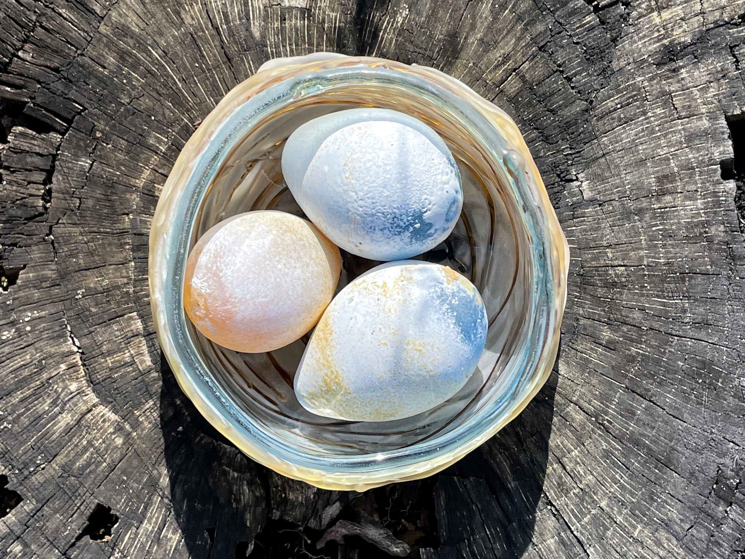 Bird's Nest with 3 Eggs
