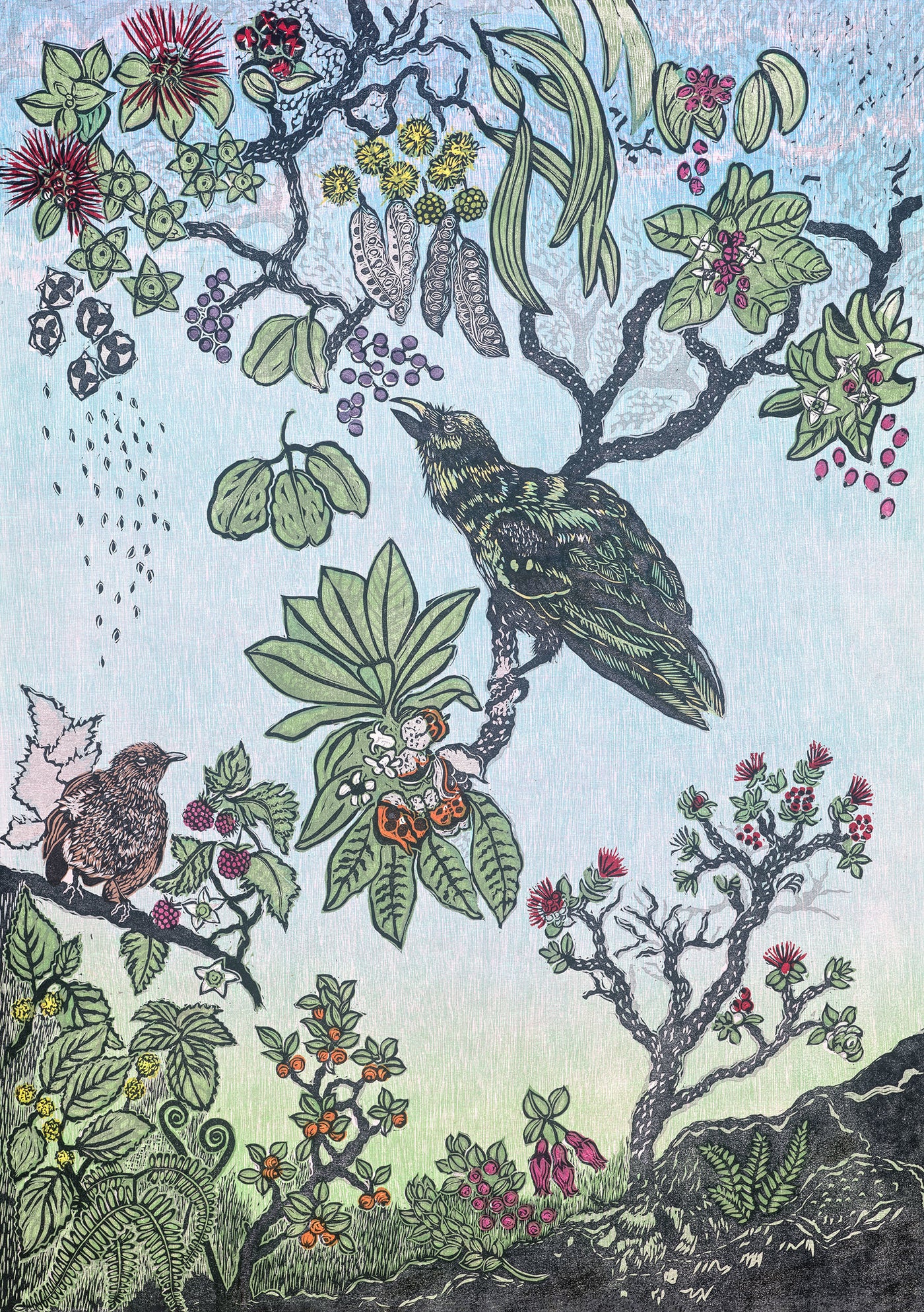 Seeding the Rainforest II