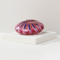 Sea Urchin