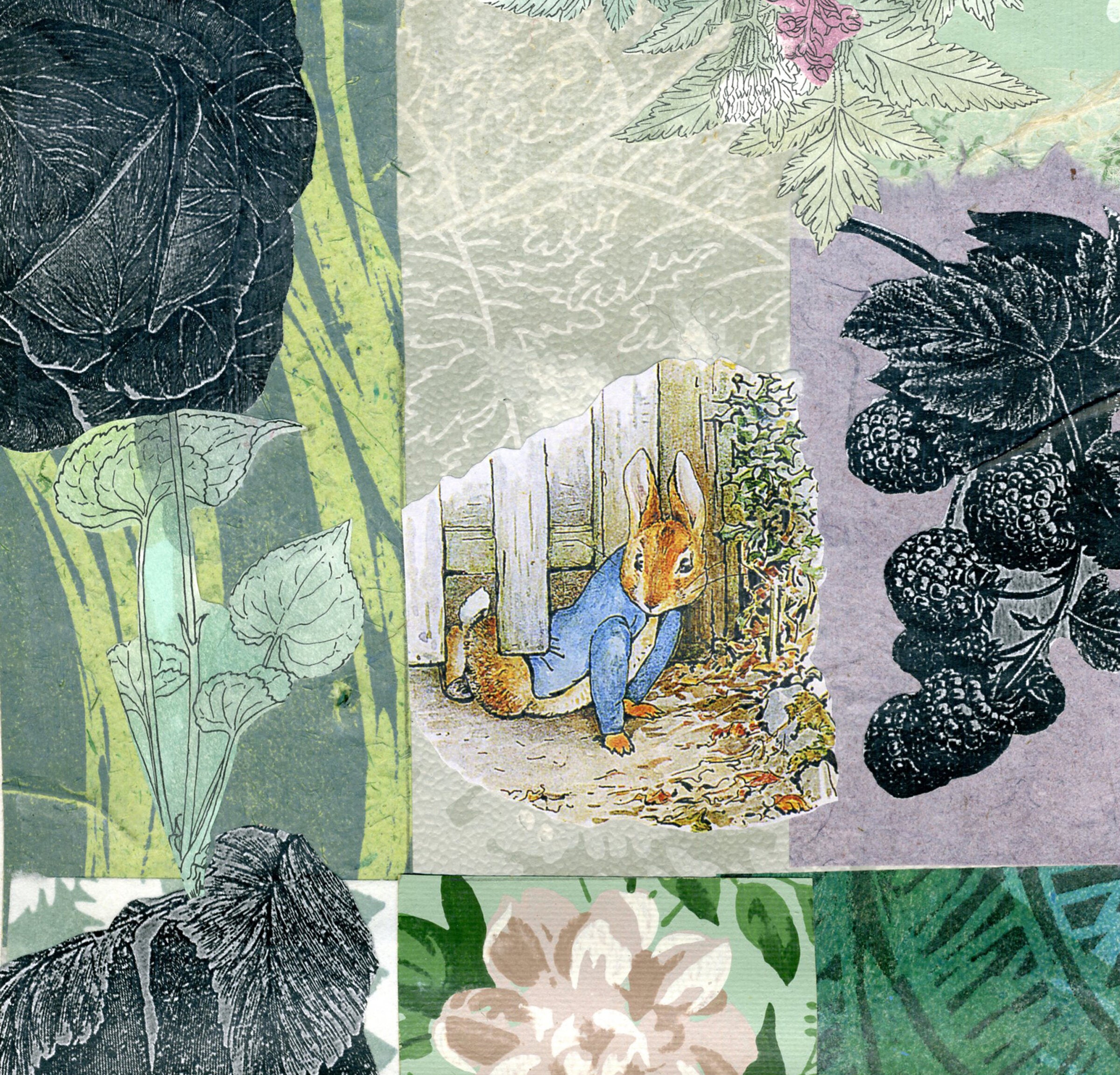 detail view