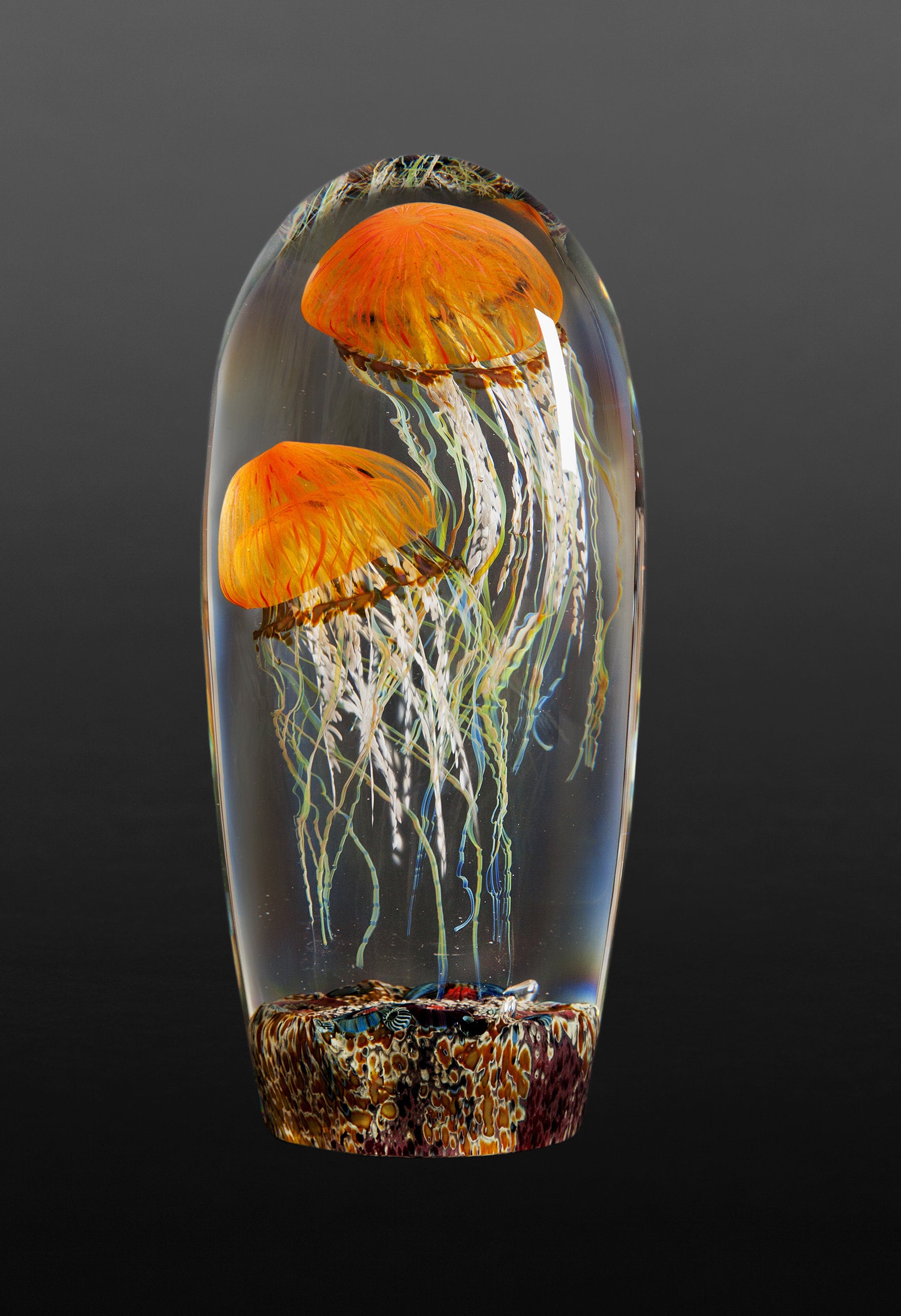 Pacific Coast Jellyfish Double