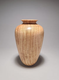 Timeless Forms