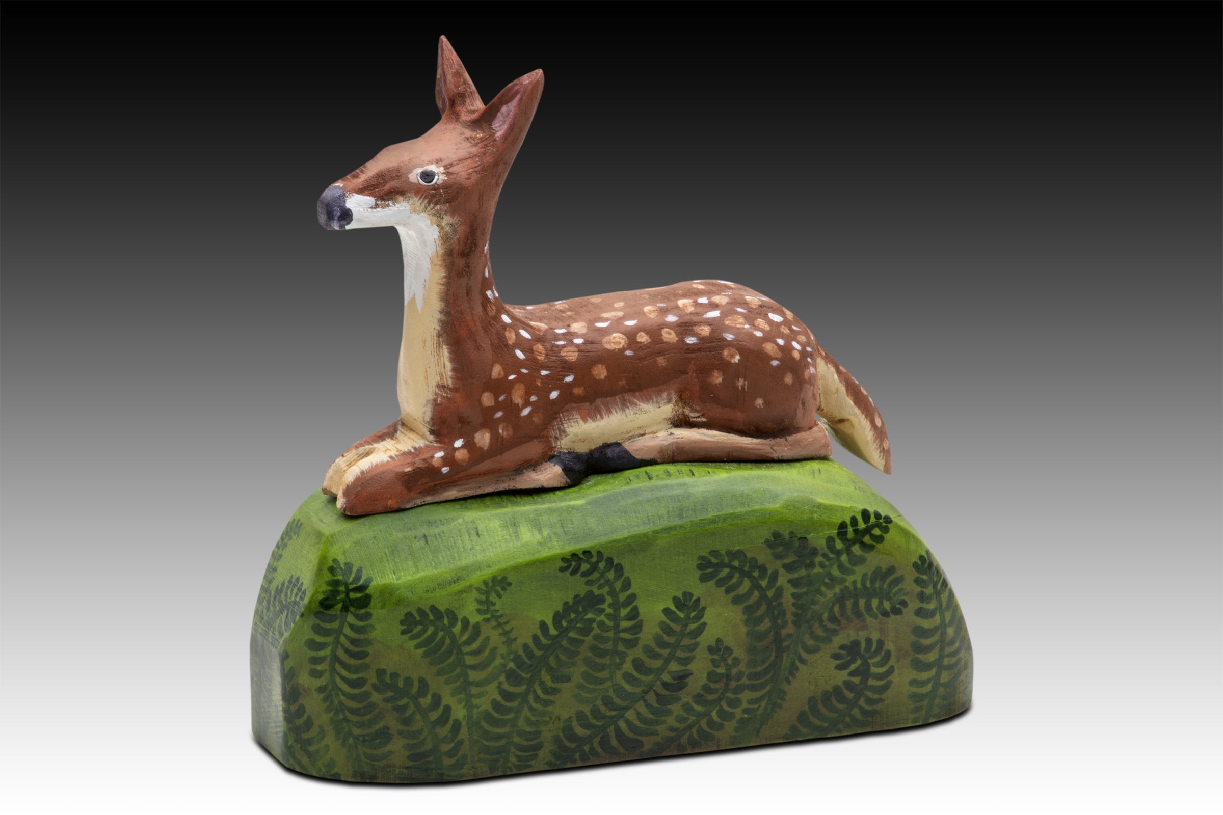 Fawn in Ferns