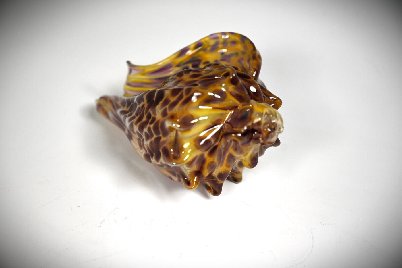 Small Leopard Shell