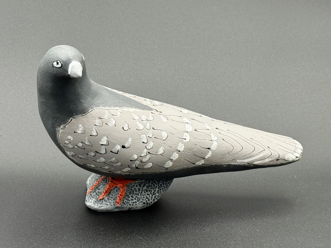 Pigeon, White Tipped Feathers