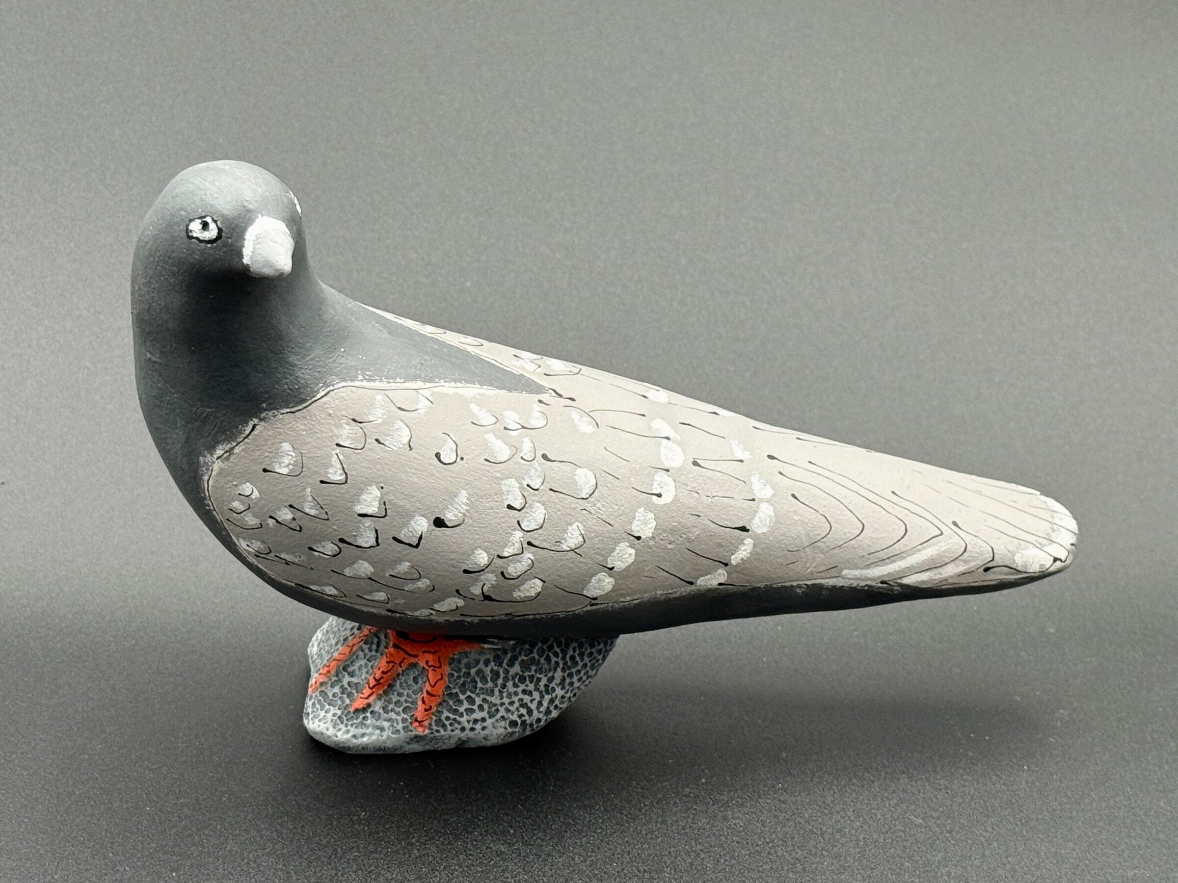 Pigeon, White Tipped Feathers