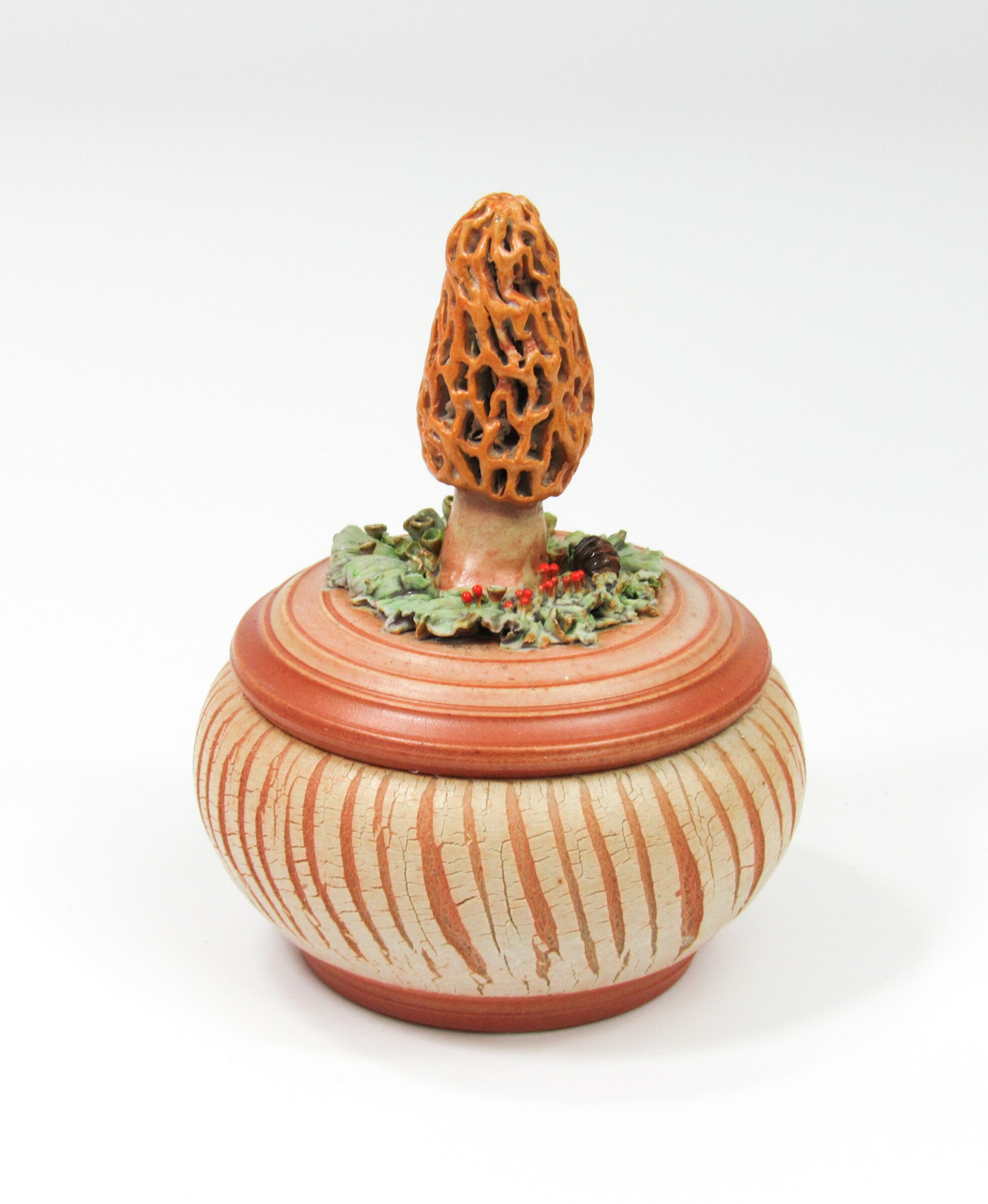 Morel Mushroom with Roly-Poly
