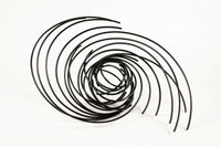 Life Cycle