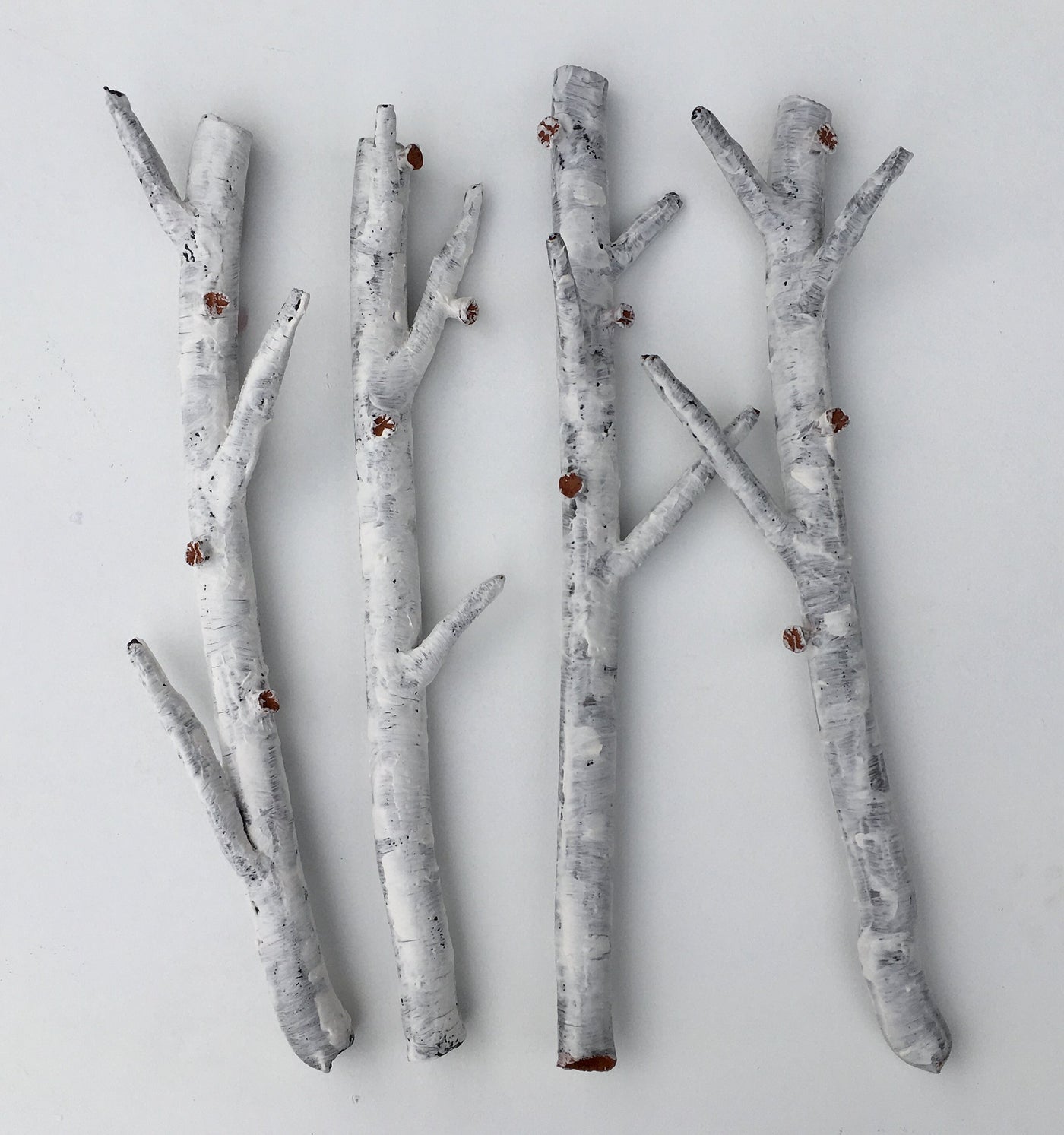 Aspen Branch Quartet