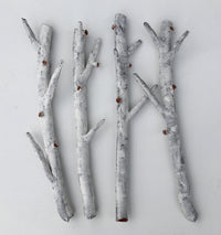 Aspen Branch Quartet