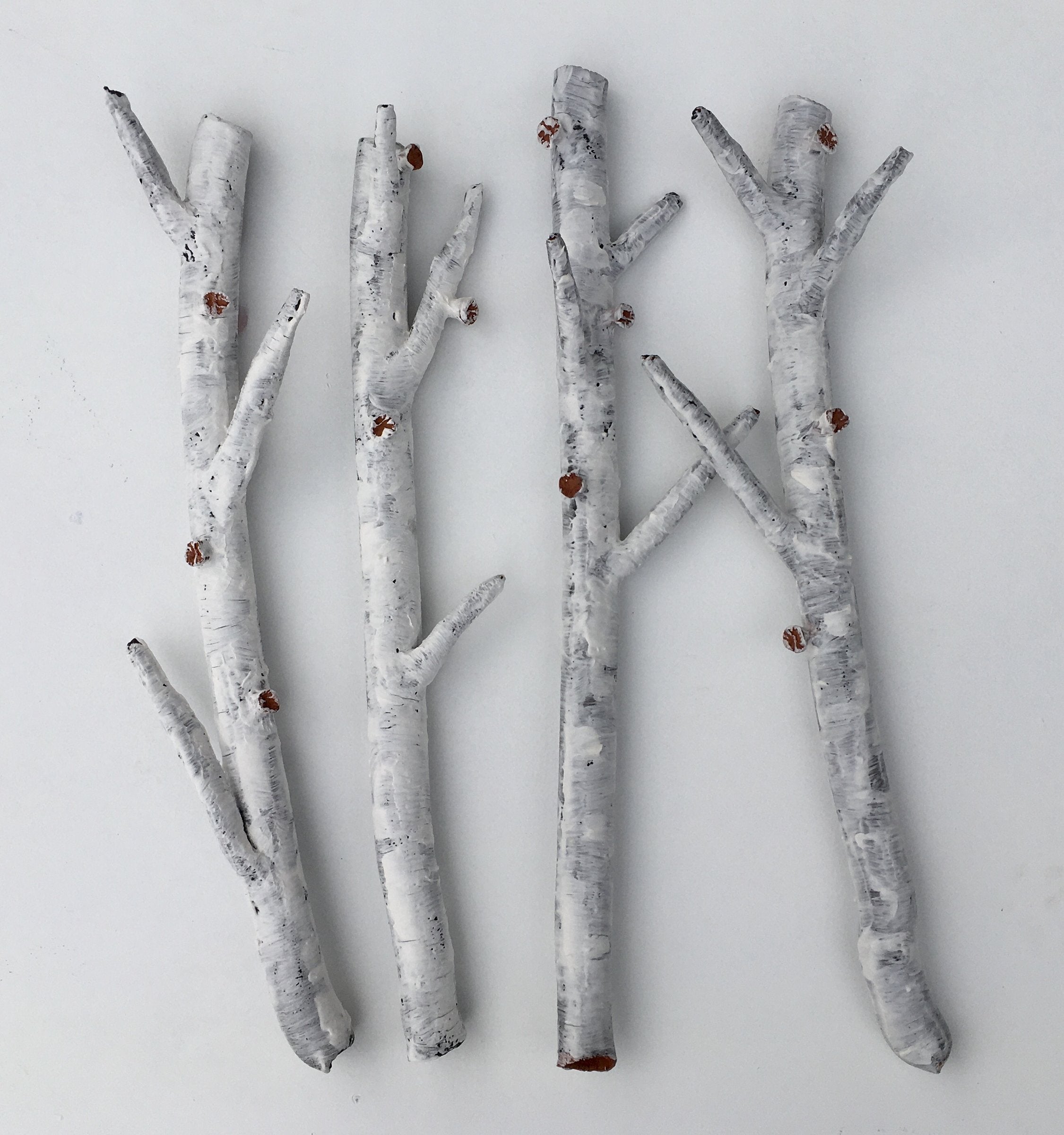 Aspen Branch Quartet